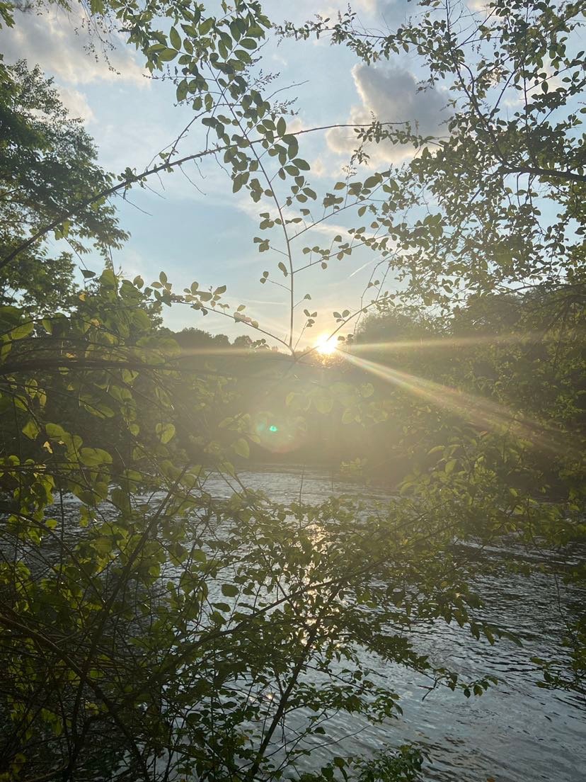The sun shines through leaves and reflects on the water.